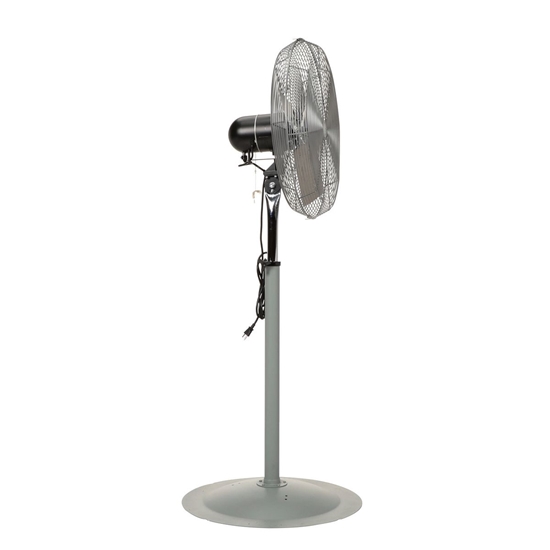 Steel Oscillating Pedestal Circulatory Fan 65-1/2 In. Height 