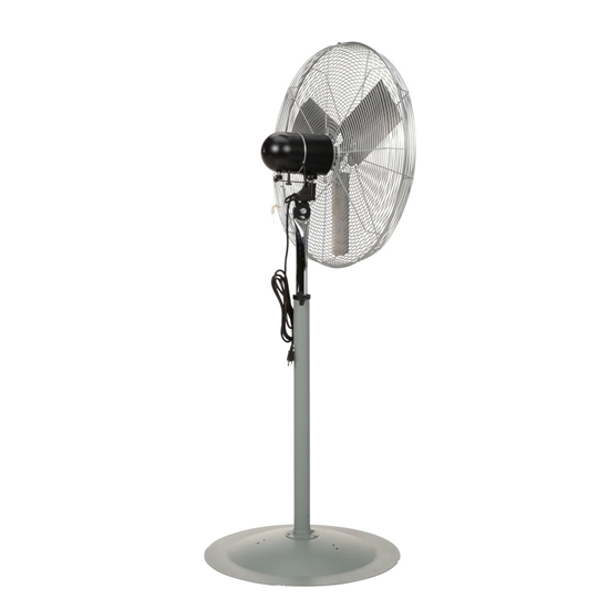 Steel Oscillating Pedestal Circulatory Fan 94-3/4 In. Height 