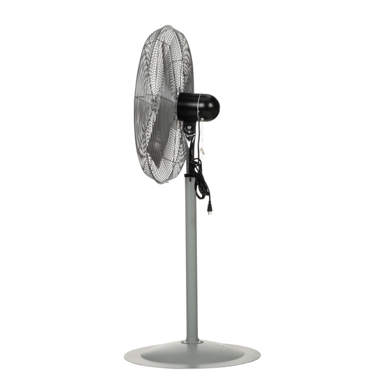 Steel Pedestal Circulatory Fan 94-3/4 In. Height