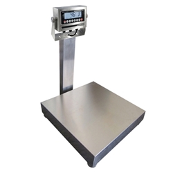 Stainless Steel Bench Scale 12 In. x 12 In. Platform 100 Lb. Capacity